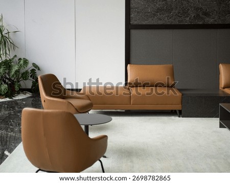 Modern lounge with brown leather sofas