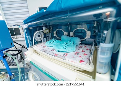 Modern Maternity Recovery Ward. Emergency Hospital Child Room.