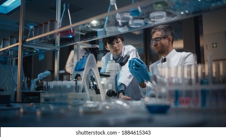Modern Medical Research Laboratory: Team of East Asian and Caucasian Scientists Work on Laptop, do Data Analysis, Use Microscope. Advanced Lab for Medicine, Biotechnology Development. Evening Time