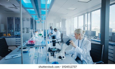 Modern Medical Research Laboratory: Team of Scientists Working with Pipette, Analysing Microbiological Sample, Talking. Advanced Scientific Lab for Drugs, Microbiology Development. High-Tech Equipment