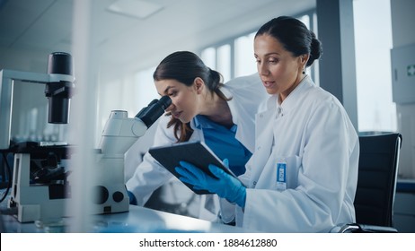 Modern Medical Research Laboratory: Two Female Scientists Working Together Using Microscope, Analyzing Samples, Talking. Advanced Scientific Pharmaceutical Lab For Medicine, Biotechnology Development