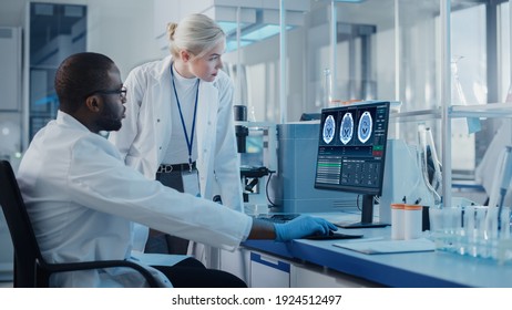 Modern Medical Research Laboratory: Two Scientists Use Computer with Screen Showing MRI Brain Scans, Specialists Discuss Innovative Technology. Advanced Scientific Lab for Medicine