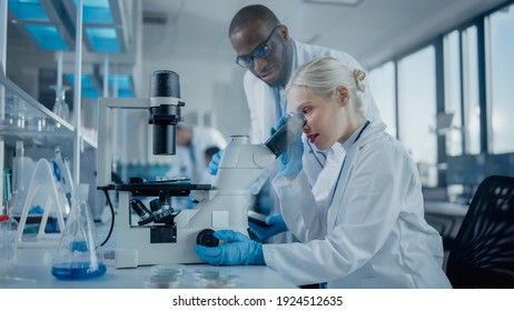 Modern Medical Research Laboratory: Two Scientists Working Together Using Microscope, Analysing Samples, Talking. Advanced Scientific Lab for Medicine, Biotechnology.