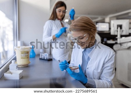 Modern Medical Research Laboratory: Two Scientists Working Together Analysing Chemicals in Laboratory, Discussing Problem. Advanced Scientific Lab for Medicine, Biotechnology, Molecular Biology