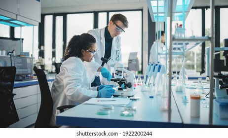 Modern Medicine Laboratory: Diverse Team of Multi-Ethnic Young Scientists Analysing Test Samples. Advanced Lab with High-Tech Equipment, Microbiology Researchers Design, Develop Drugs, Doing Research