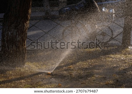Modern micro-drip irrigation system providing precise watering of tree root zones. Optimal water usage and healthy plant growth.
