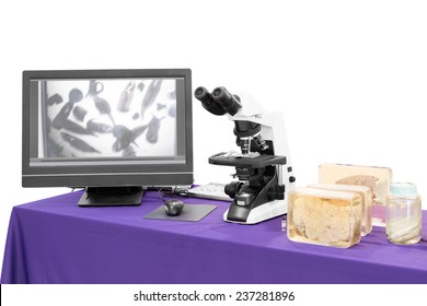 modern microscope with liver fluke