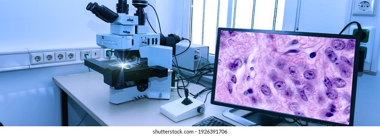 70 Digital Cell Morphology Images, Stock Photos & Vectors | Shutterstock