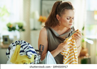 Modern Middle Age Housewife In Silk Blouse And Beige Pants With Steam Iron And Washed Clothes Basket Having Bad Smelling Clothes After Laundry At Modern Home In Sunny Day.