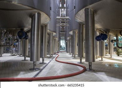 modern milk cellar with stainless steel leg support tanks - Powered by Shutterstock