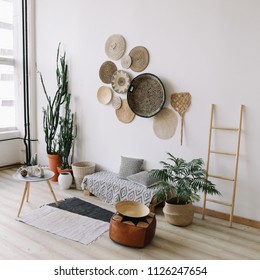 
Modern minimal home interior design. Pillows, blanket, tropical palm tree. Exotic bedroom interior, scandinavian style
