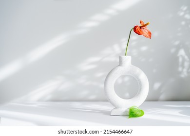 Modern minimalist nordic round ceramic vase with red flower of Anthurium and green leaf on the white background under sunlight and shadows on a white gray wall. Trendy interior design decor