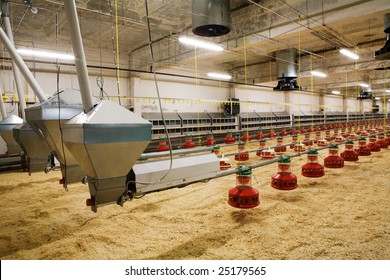 Poultry House High Res Stock Images Shutterstock