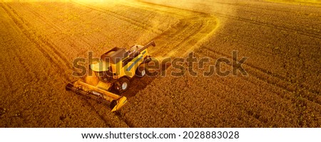 A modern new combine harvests grain. The sun's rays illuminate the dust cloud. Wonderful summer landscape. Growing food.