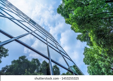 Modern Office Building With Green Leaves
