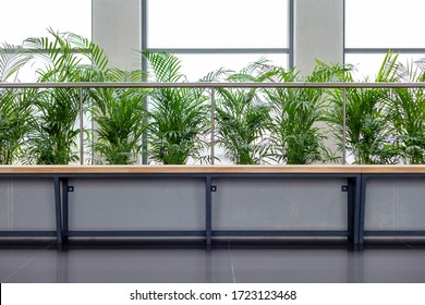 Modern Office Lobby Bench With Plants Frontal Shot Corporate Calm Green Area, Empty Waiting Room Seats Abstract Concept, Nobody No People Simple Business Employee Lounge Backdrop, Background Copyspace