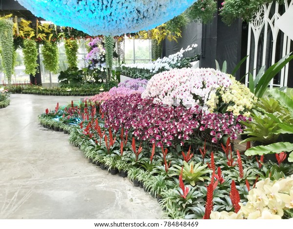 Landscape Orchids Garden Design - naniewandy