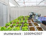 Modern organic farmhouse adopts the technology of robotic industry to apply for used in vegetable plots to work and help harvest on  concept of Smart Farming  4.0 and Industry 4.0.