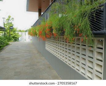 Modern outdoor pathway bordered by a wall with decorative screen blocks and hanging Russelia equisetiformis (Firecracker plant) with vibrant red flowers, showing contemporary urban landscaping.
