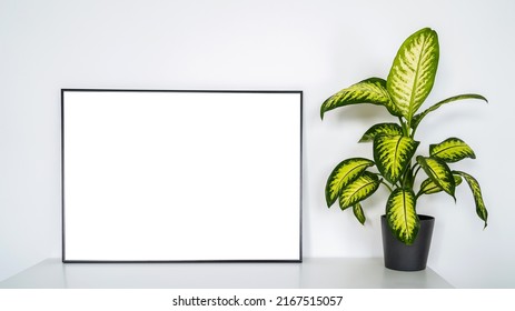 Modern Panel Plant Office Room Minimalist Stock Photo 2167515057 ...