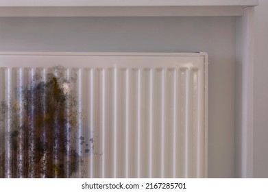 Modern Panel Radiator Affected By Rust Indoors