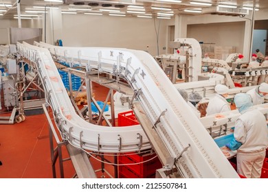 Modern poultry processing plant.Factory for the production of food from meat.Conveyor Belt Food.Automated production line in modern food factory.
