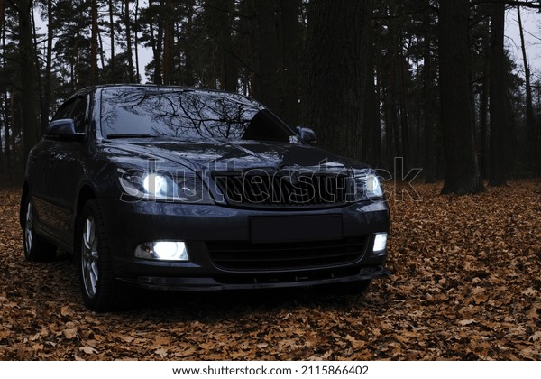 modern prestigious car. beautiful car. dark gray\
color. glowing headlight, illuminates on a sports car. in the\
evening. forest with trees at autumn time. editorial, Ukraine,\
Kiev, November 2021