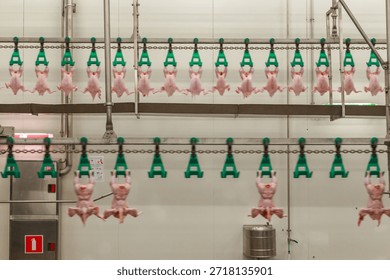 Modern processing line at big chicken farm. Special equipment for evisceration, separation, cutting and deboning broilers carcasses.