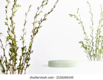 Modern product display with pale green podium and spring branches at white background. Scene stage showcase. Place for your product. Front view with copy space. - Shutterstock ID 2156246143