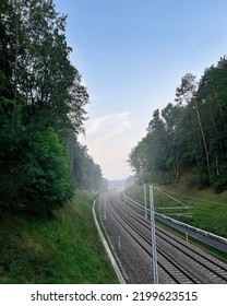 Modern Railway Track Going Through Forest After The Rain With Some Subtle Fog.