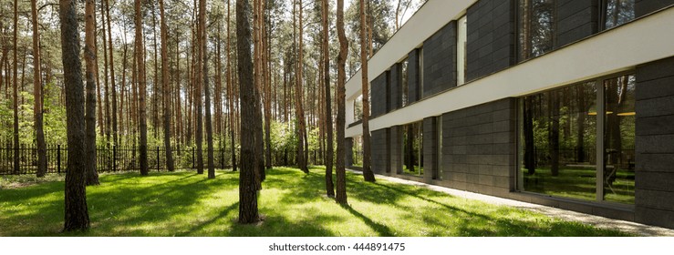 Modern rectangular detached house with a large backyard in a forested area