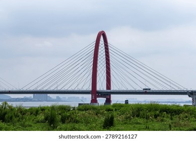Modern red cable-stayed bridge spanning across water with city skyline in background, surrounded by green vegetation and wetlands in Hangzhou, China.