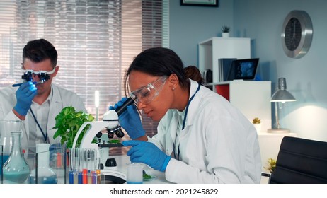 In Modern Research Laboratory Black Female Scientist Looking At Organic Material Under Microscope While Her Collegue Working In Magnifying Eyeglasses.