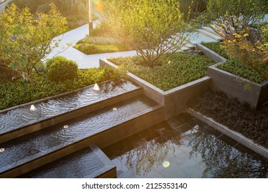 Modern Residential Garden Landscape Green Plant Water Feature