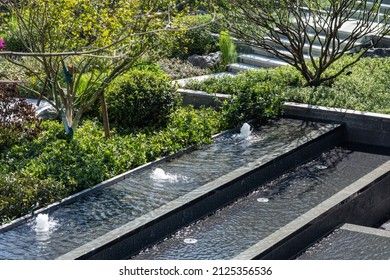 Modern Residential Garden Landscape Green Plant Water Feature