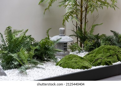 Modern Residential Garden Landscape Green Plant Water Feature