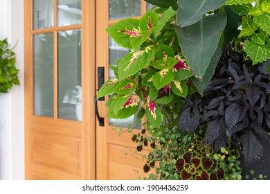 Modern Rustic Front Door Of A Farmhouse