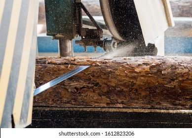 Modern Sawmill. Industry Sawing Boards From Logs