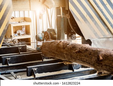 Modern Sawmill. Industry Sawing Boards From Logs