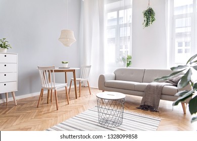 Modern scandinavian decor of living room with design furniture, family table, sofa and plants Brown wooden parquet and stylish carpet. Nice and minimalistic apartment. Big windows. Bright and sunny.