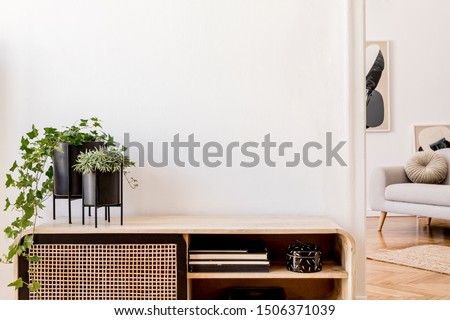 Modern scandinavian home interior with design wooden commode, plants in black pots, gray sofa, books and personal accessories. Stylish home decor. Template. Copy space. White walls.