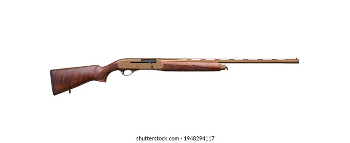 Modern semi-automatic shotgun with a wooden butt isolate on a white background. Weapons for hunting, sports and self-defense. Shotgun in bronze color.