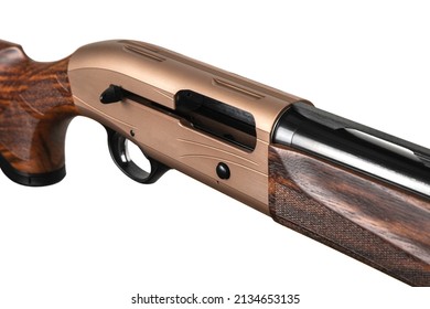 A modern semi-automatic shotgun with a wooden stock. Guns in bronze color for hunting and sport. Isolate on a white background.