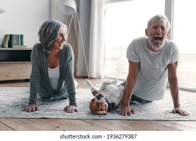 Modern Senior Couple In Sports Clothing Doing Yoga And Smiling While Spending Time At Home With Their Dog