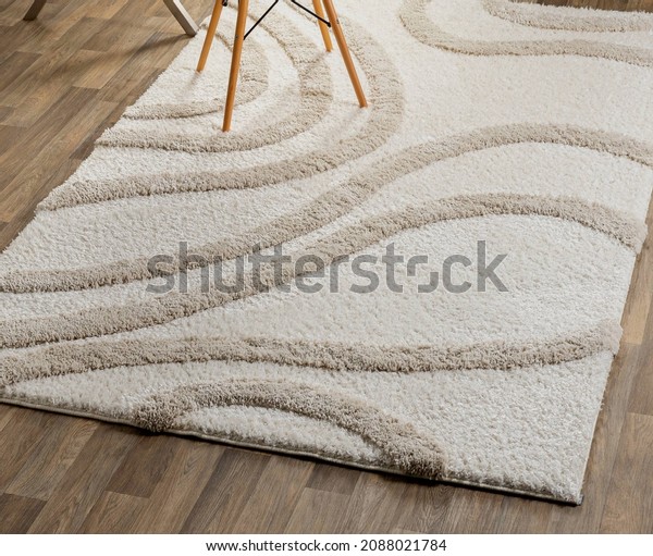 Modern shag polyester area
rug.