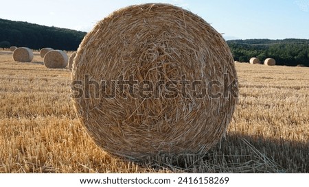 Similar – Image, Stock Photo straw bale Straw