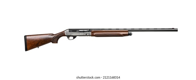 A modern silver semi-automatic shotgun with a wooden stock and a black barrel. Weapons for hunting and sports. Isolate on a white background.
