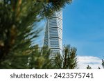 A modern skyscraper with a gridlike white pattern rises sleekly against a clear blue sky, framed by the focused green branches of a pine tree, likely in Malmo.