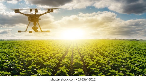 Modern Smart Farm With Drone. Digital Transformation In Agriculture And Smart Farming