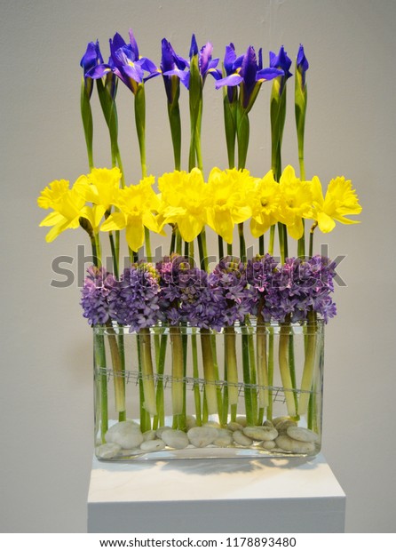 Modern Spring Floral Arrangement Clear Glass Stock Photo Edit Now